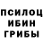 Псилоцибиновые грибы GOLDEN TEACHER Nither gaming