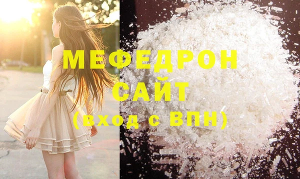индика Богородицк