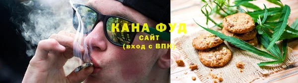 индика Богородицк