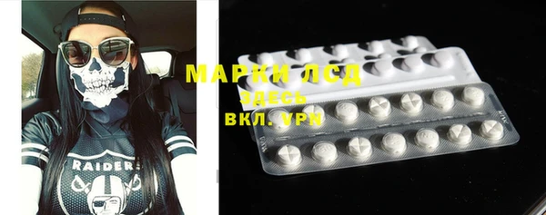 индика Богородицк