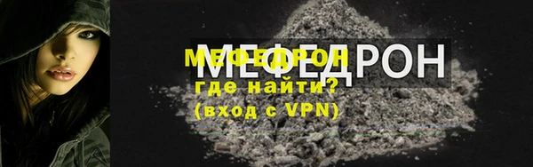 индика Богородицк