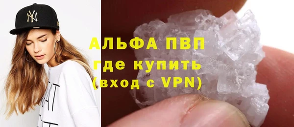 индика Богородицк