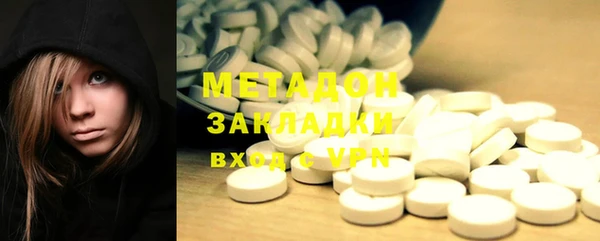 индика Богородицк