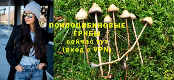 индика Богородицк