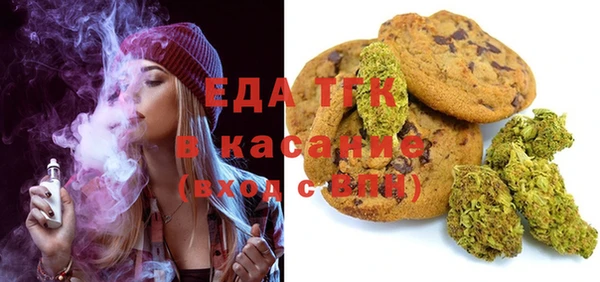 индика Богородицк