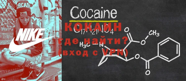 индика Богородицк