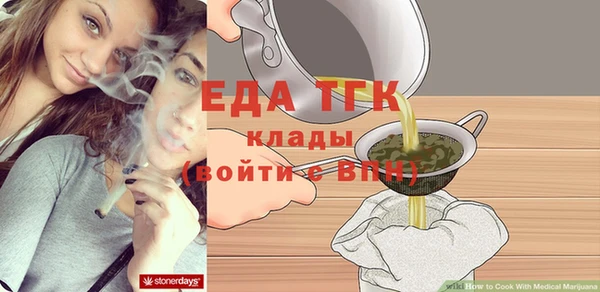 индика Богородицк