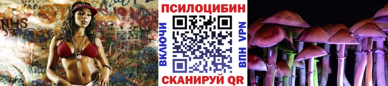 Псилоцибиновые грибы MAGIC MUSHROOMS  закладка  Вихоревка 